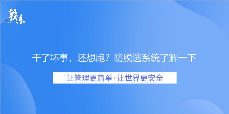 干了坏事，还想跑？防脱逃系统了解一下